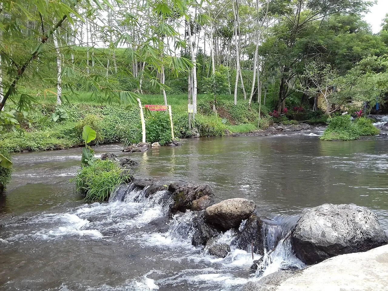 Sumber Maron